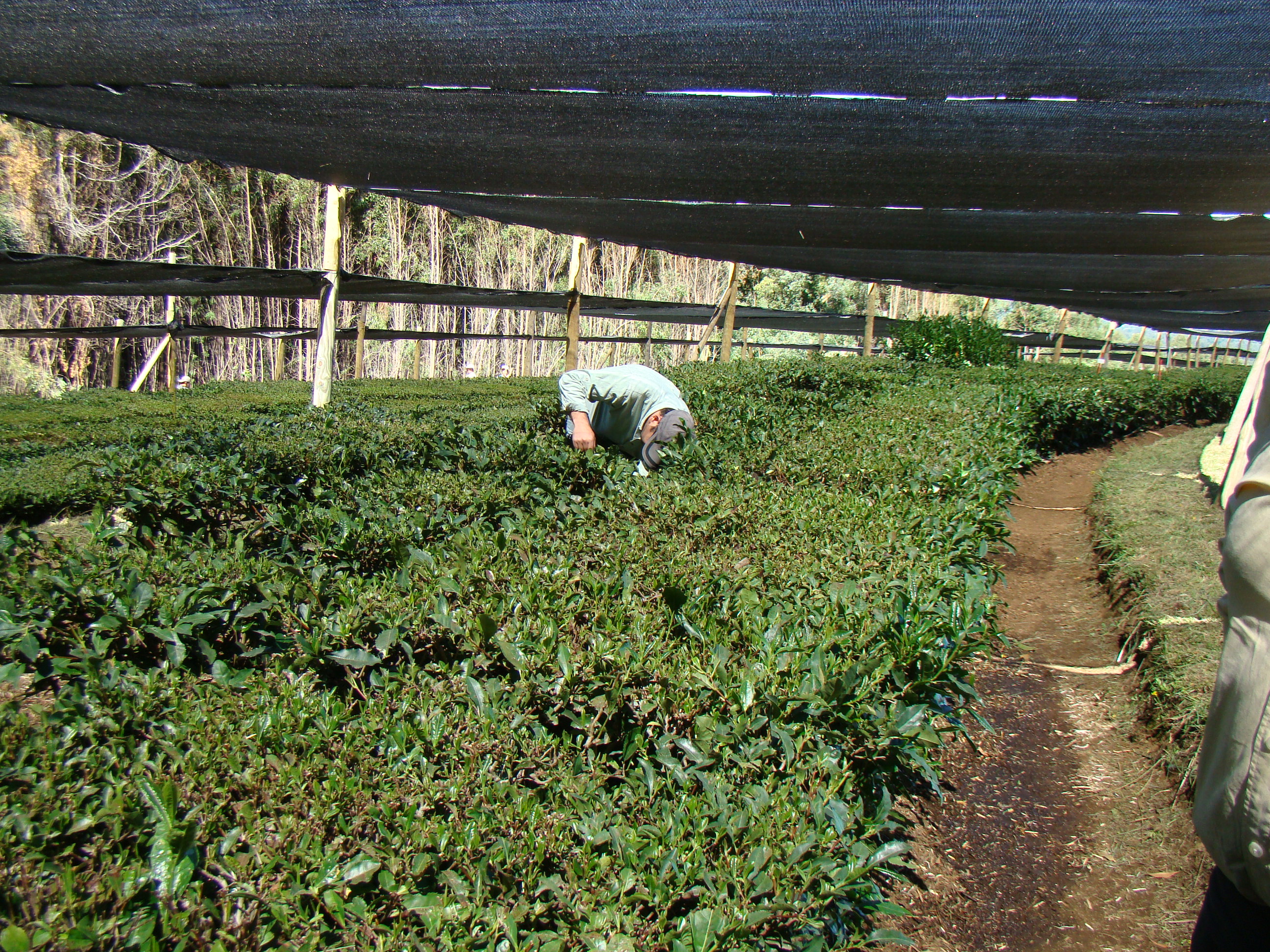 Ministerio de Agricultura