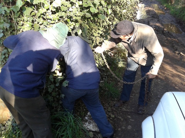 Carlos Martínez (RBB)