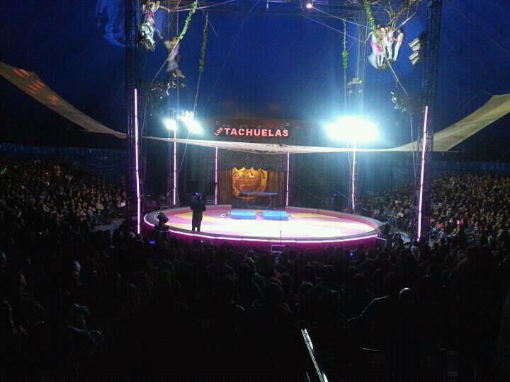 Circo Los Tachuelas | www.circo.cl