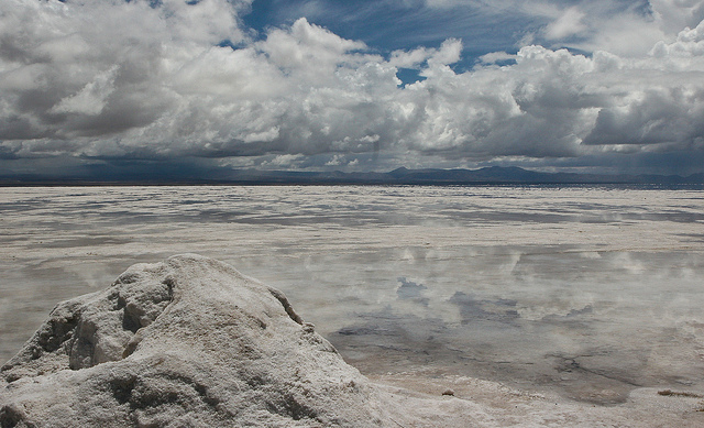 Danielle Pereira (CC)