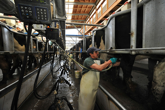 Ministerio de Agricultura ©