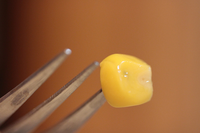 Susana Fernandez (CC)