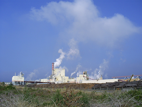 Erasmo Tauran (BBCL)