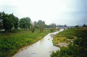 Archivo | UCN.cl (C)