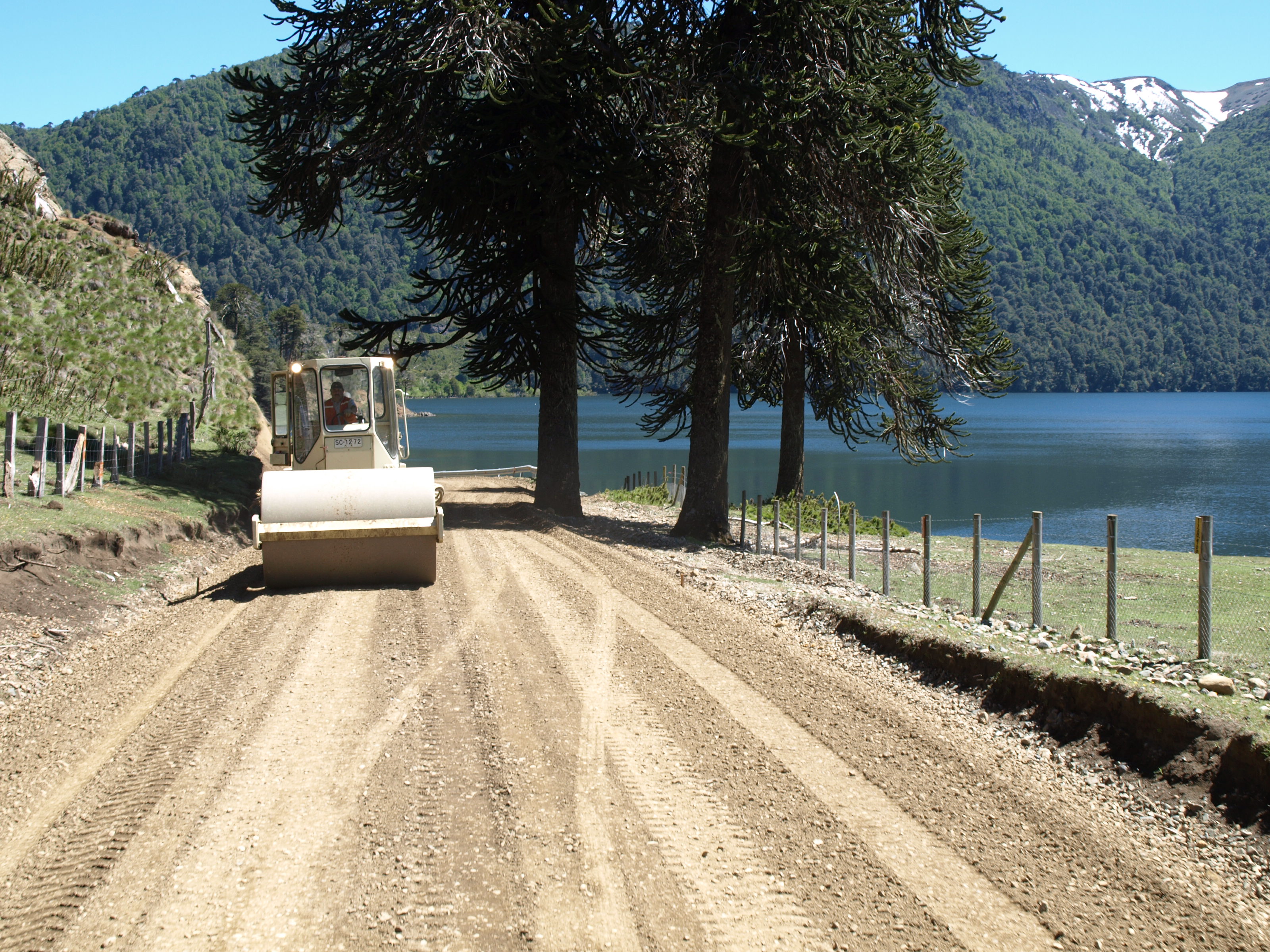 Camino a Icalma | Luis Vergara (RBB)