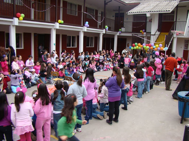 Colegio Mater Purissima (C)