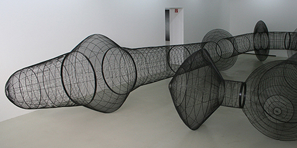 Cristián Salineros, AFA (c)