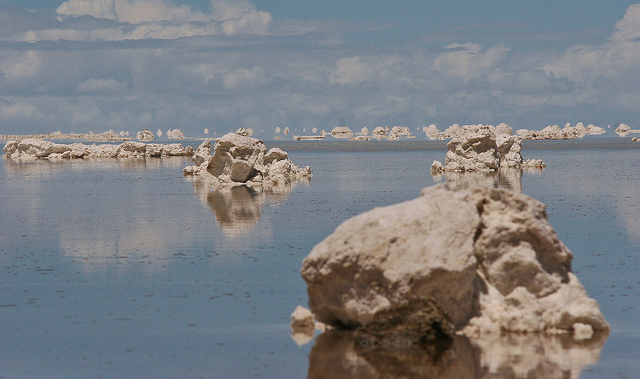 Danielle Pereira (CC)