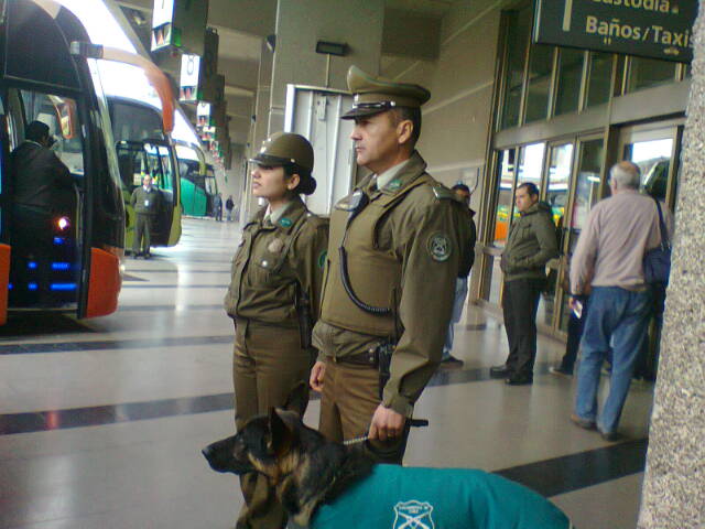 Fernando Véliz (RBB)