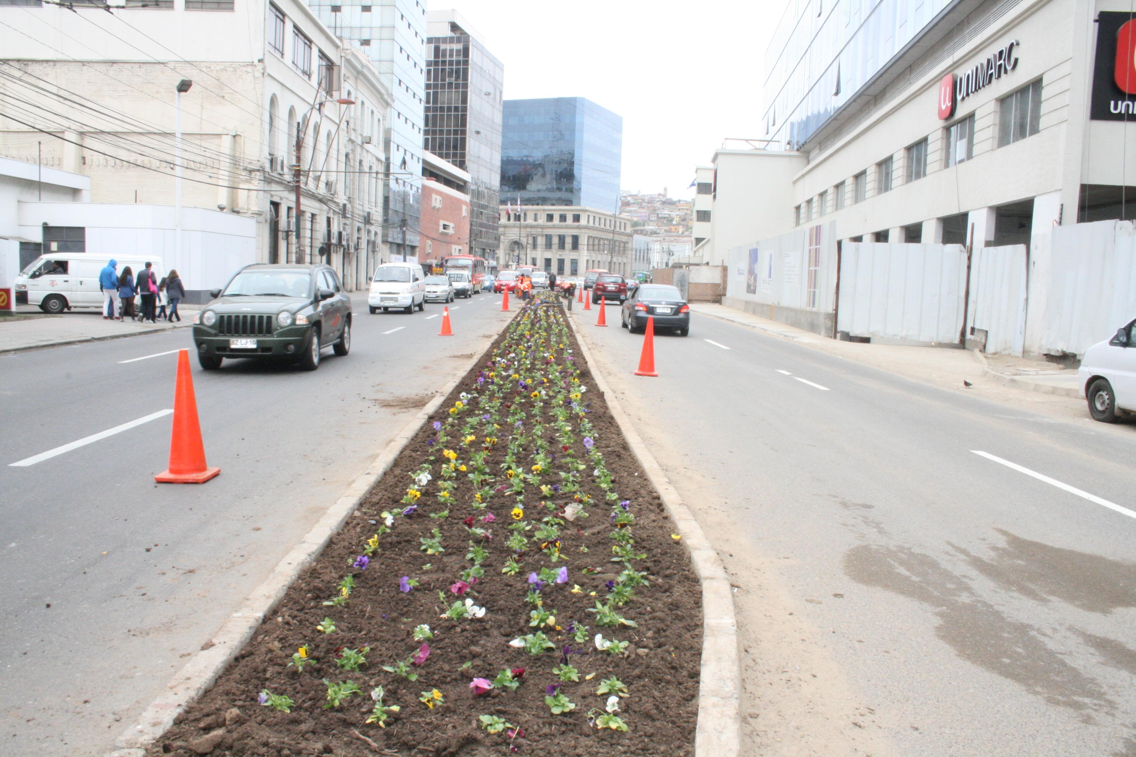 Ilustre Municipalidad de Valparaíso