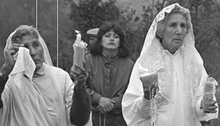 Ilustre Municipalidad de Viña del Mar