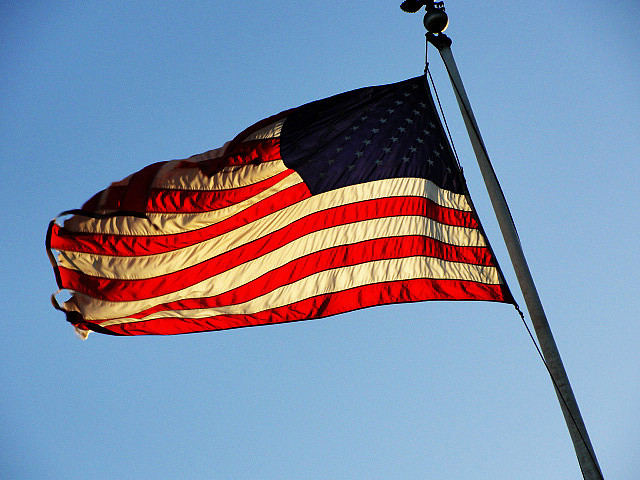 JavierPsilocybin (CC)