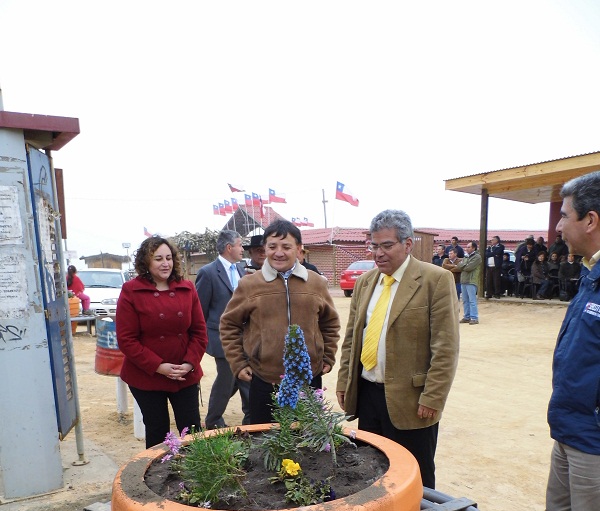 Maulee | www.maulee.cl