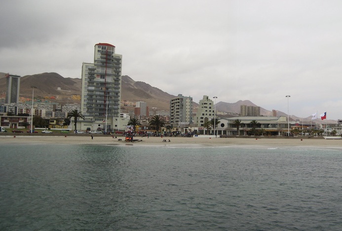 Municipalidad de Antofagasta (C)