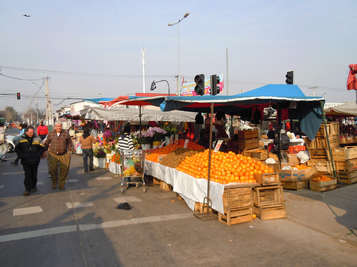 Pontificia Universidad Católica de Chile (CC)