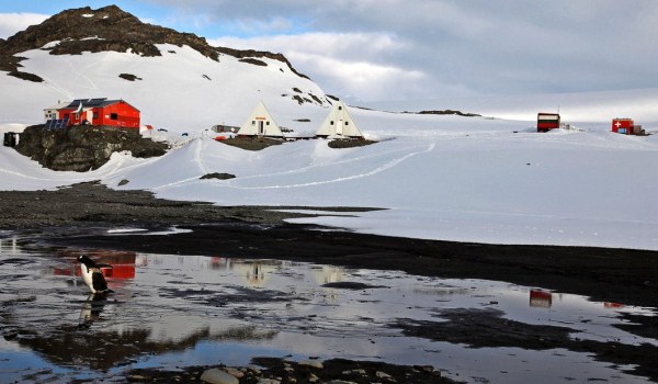 Prensa Antartica | prensaantartica.wordpress.com