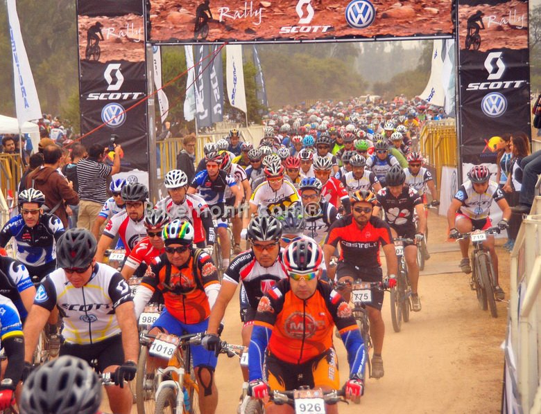 Rally Scott Volkswagen