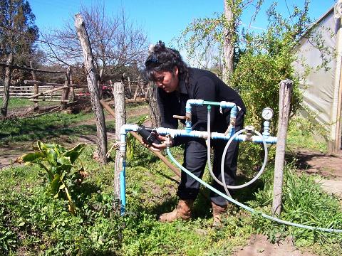 Tribuna del Bío Bío | www.tribunadelbiobio.cl