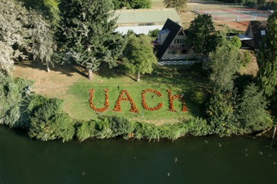 www.uach.cl