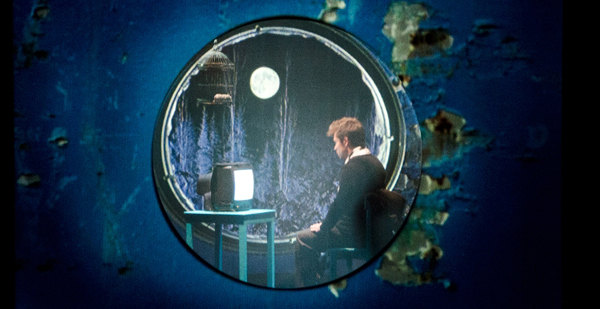 Zoom. Foto Cristián Reyes (c)