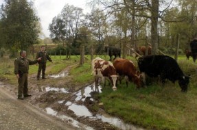 Archivo | Carabineros.cl