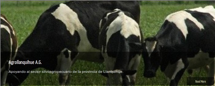 Agrollanquihue.cl