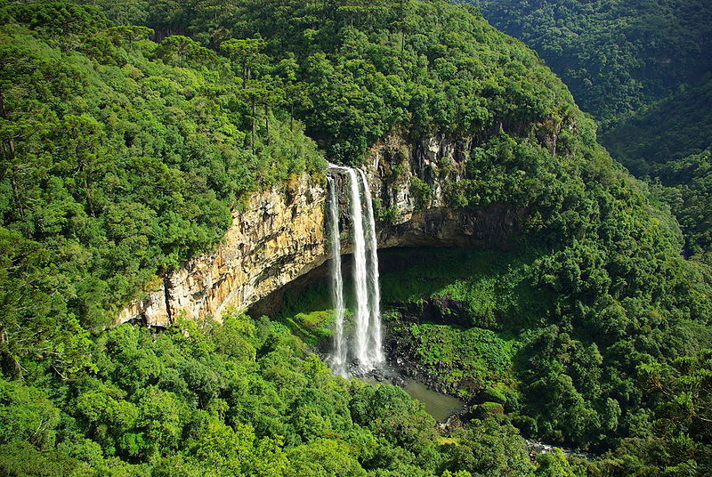 Canela, Rio Grande do Sul | Wikipedia (cc)