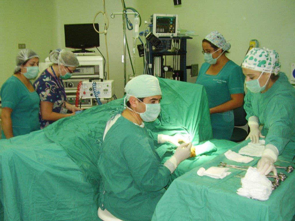 Archivo | www.hospitaldetome.cl