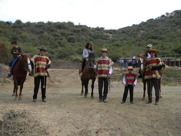 Maulee | www.maulee.cl