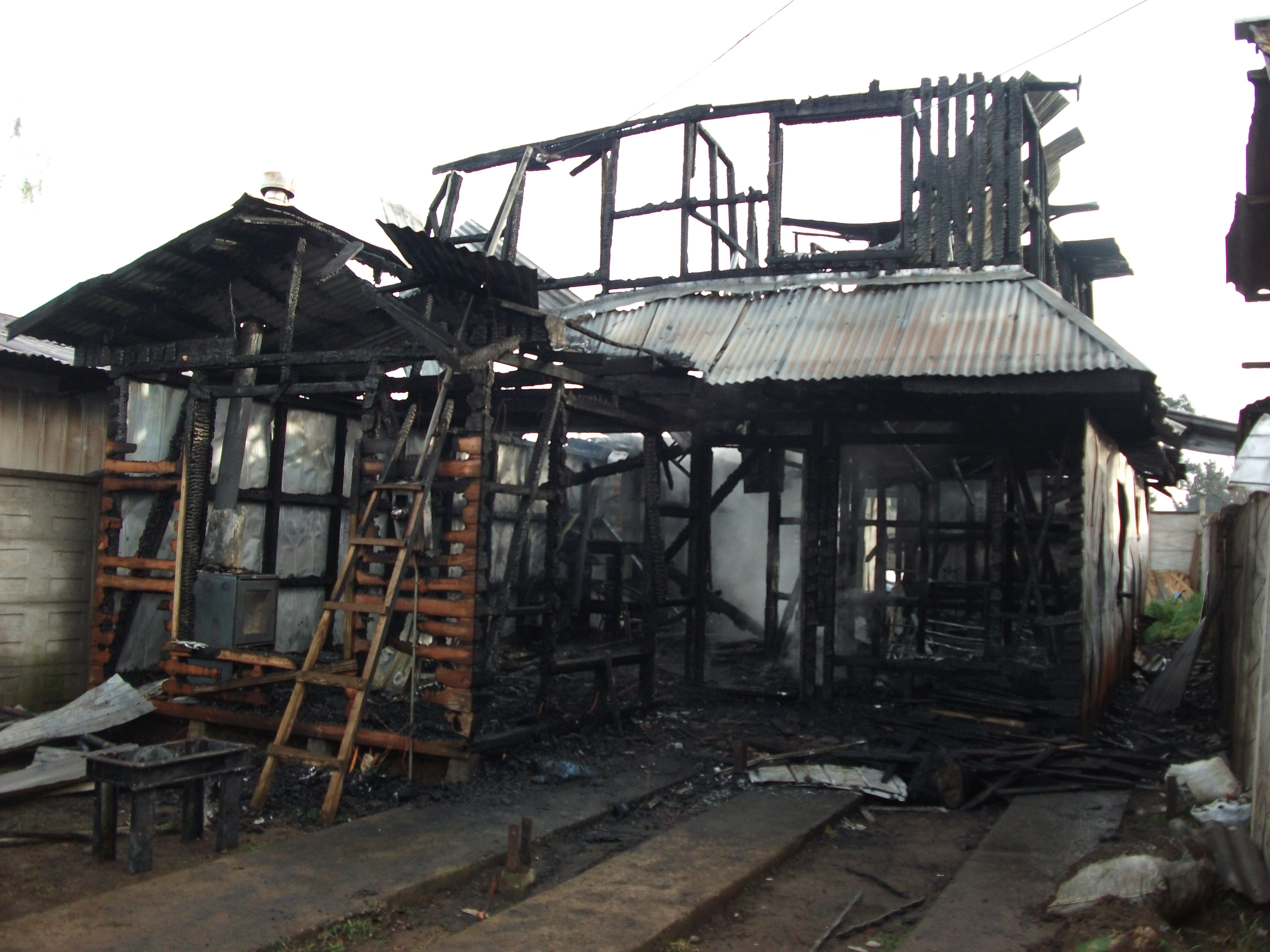 Víctor Carrasco (RBB)