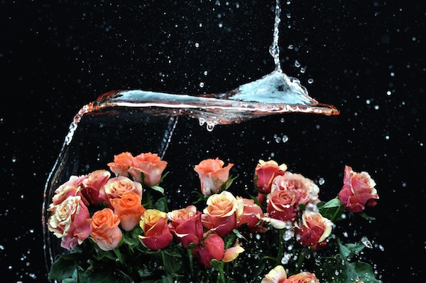 Daniela Miller, Centro Cultural Montecarmelo (c)