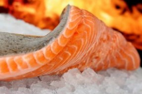 Salmón | stock.xchng