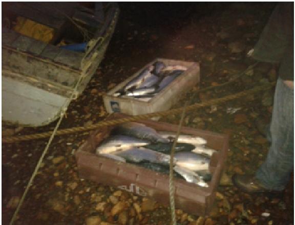 Mauricio Baeza (RBB)