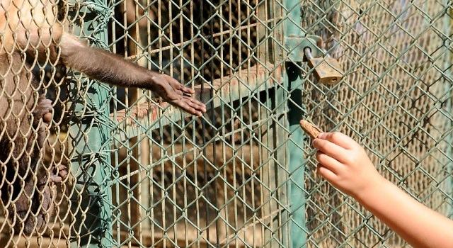 Archivo | Pablo Ovalle | Agencia UNO