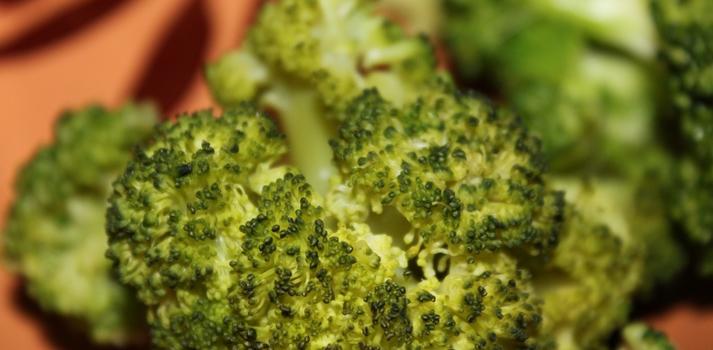 Archivo | Abish Falcón (cc)