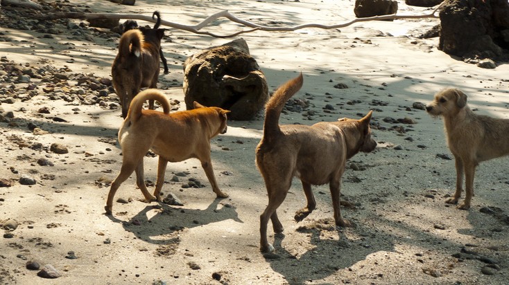 Archivo | northways (CC)