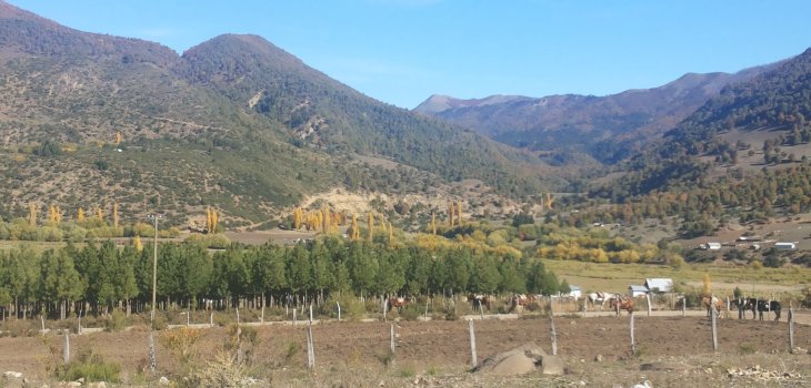 ARCHIVO | Rocío Parraguez (RBB)