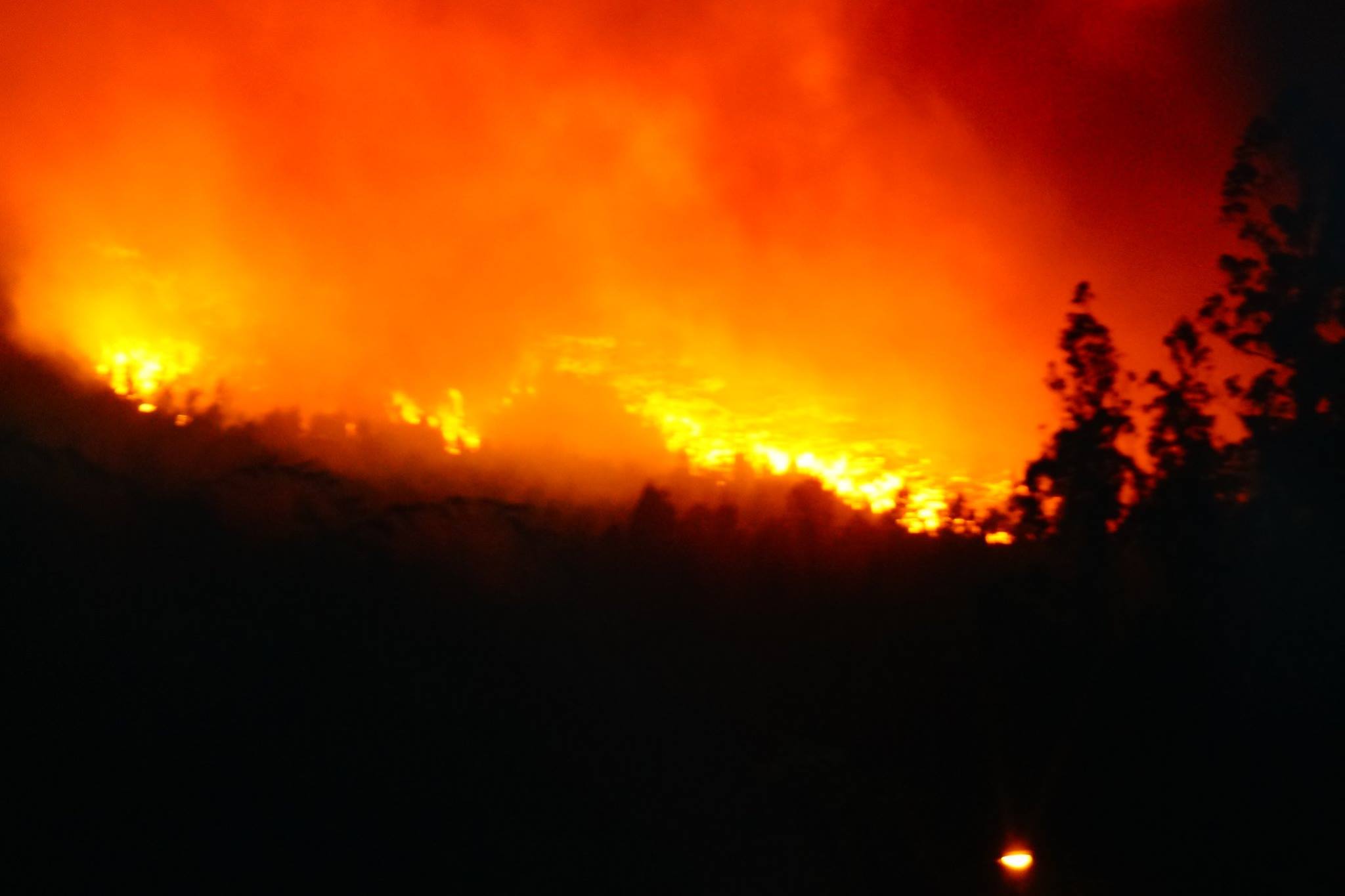 Municipalidad de Arauco | Facebook