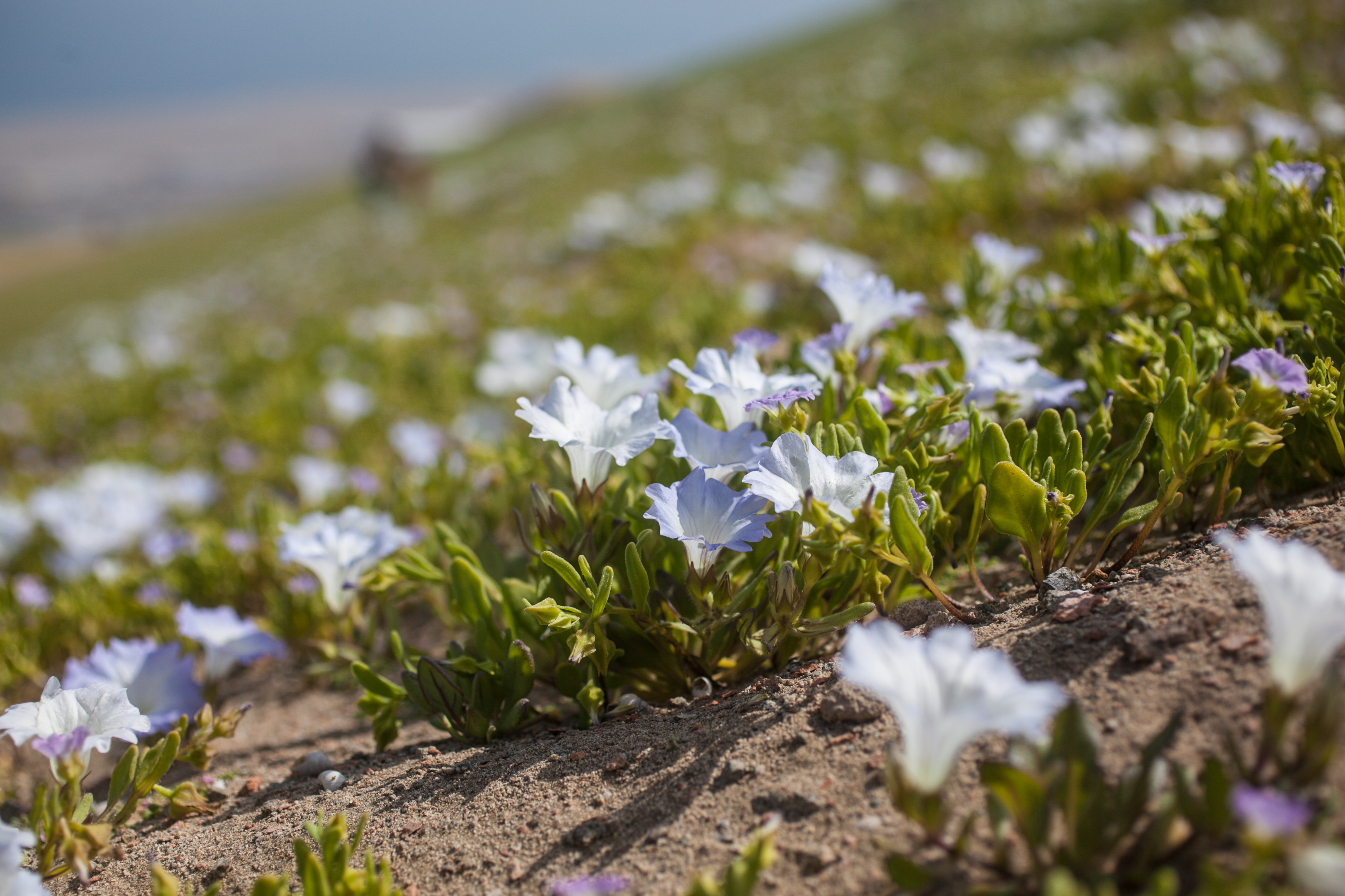 Magaly Visedo / Agencia UNO