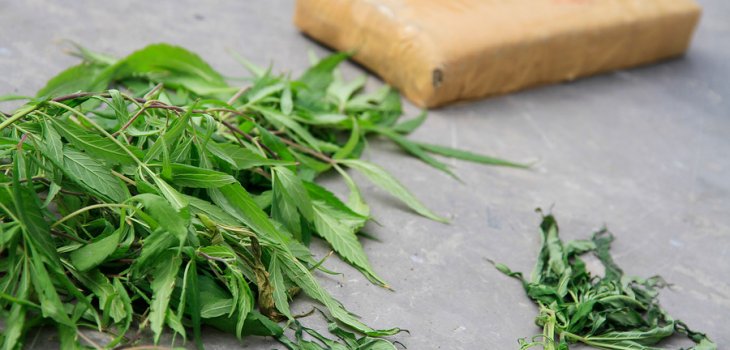 ARCHIVO | Alex Díaz | Agencia UNO