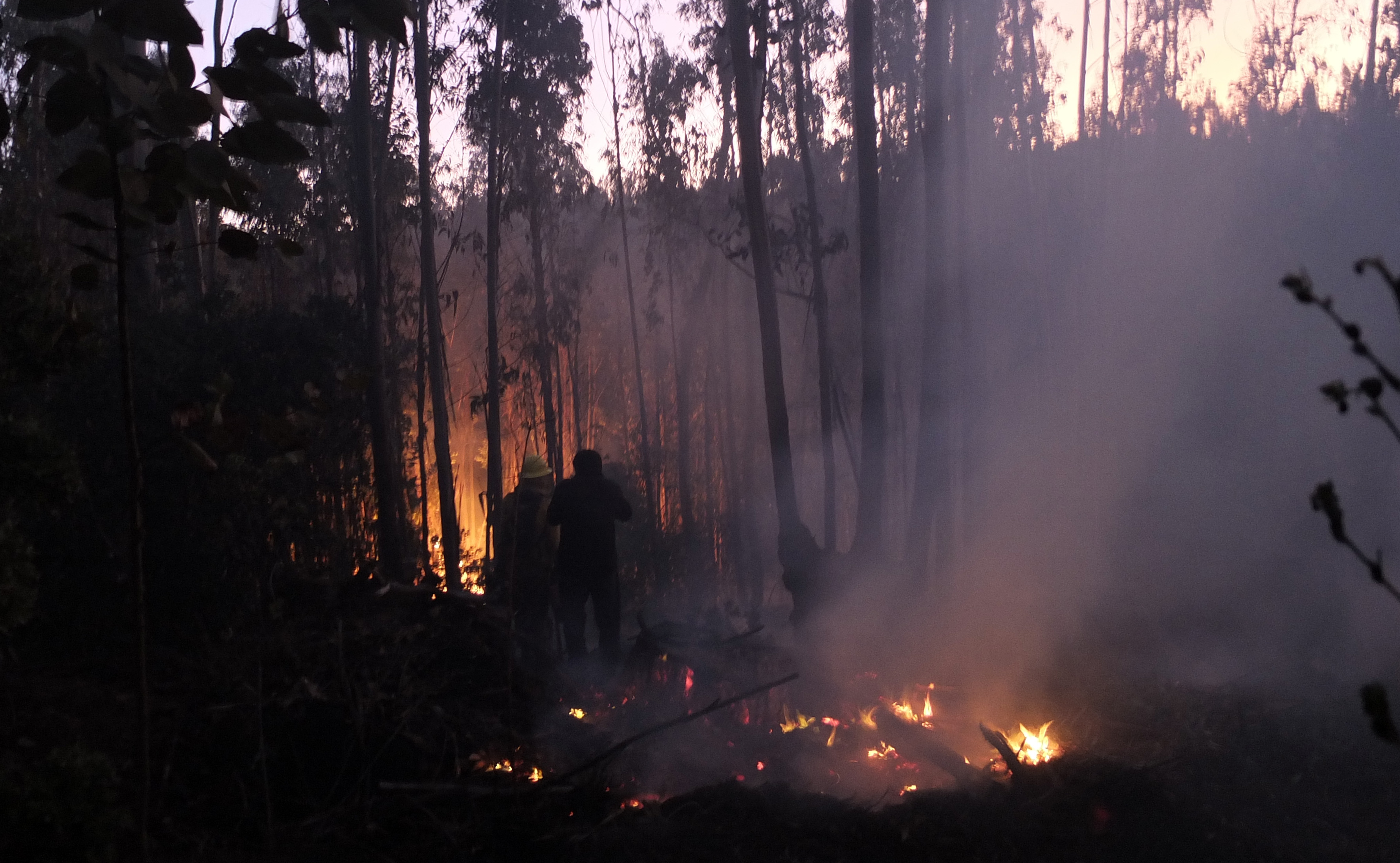 Archivo | Agencia UNO