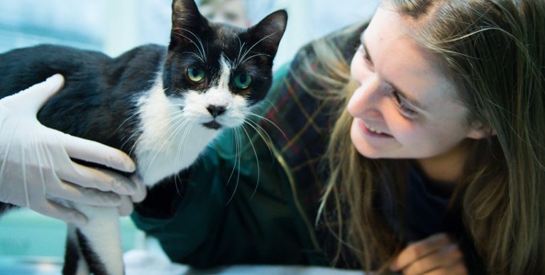 La dueña y su gato perdido hace 7 años | DPA / AFP