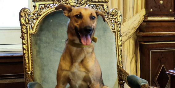 Mauricio Macri | Facebook