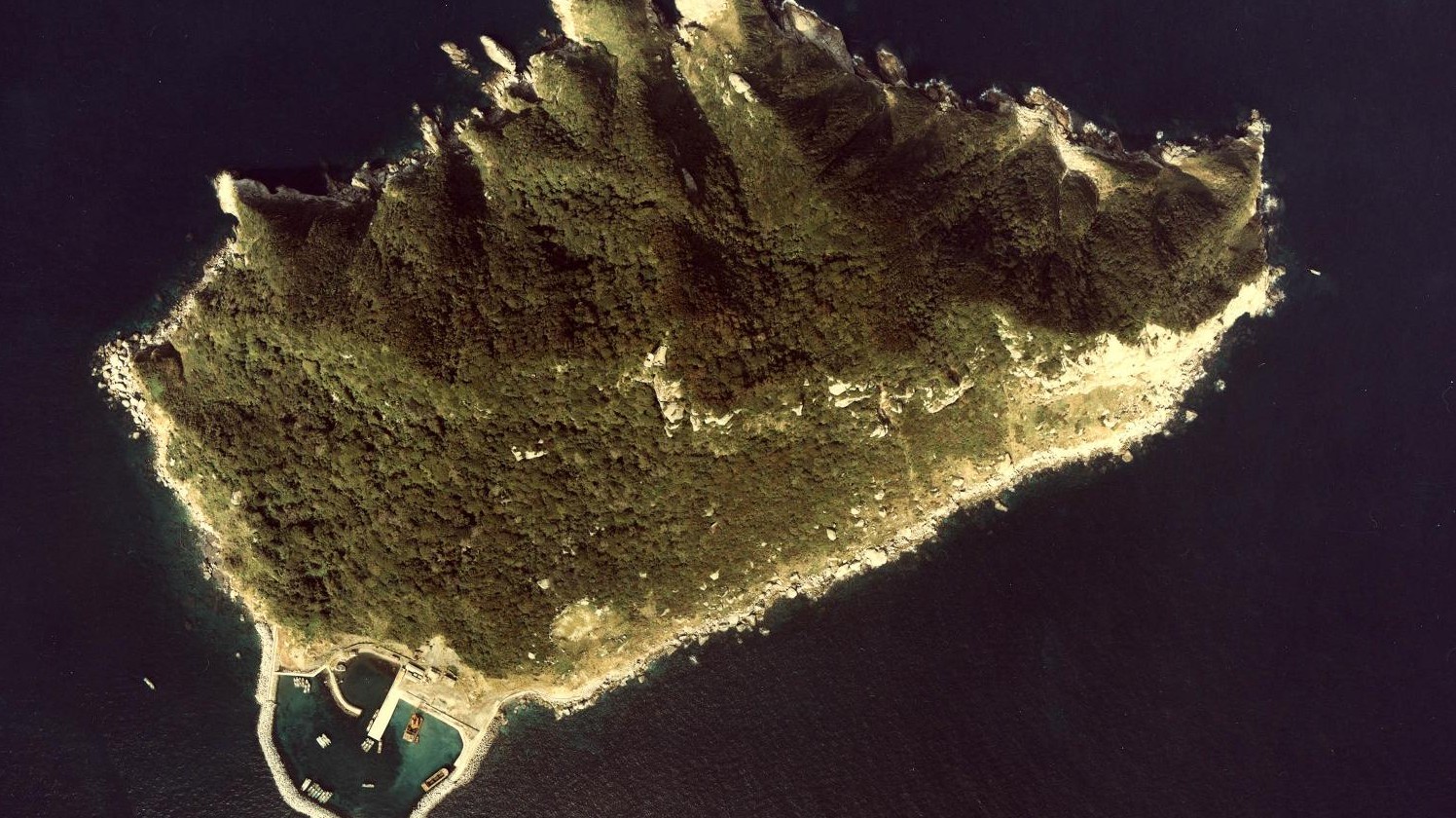 Wikimedia Commons