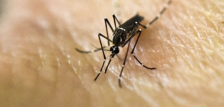 CONTEXTO | Sajjad Hussain | AFP