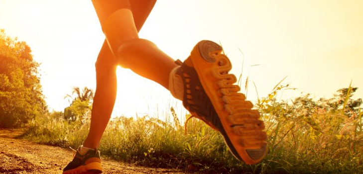 Alga Espirulina | Twitter El