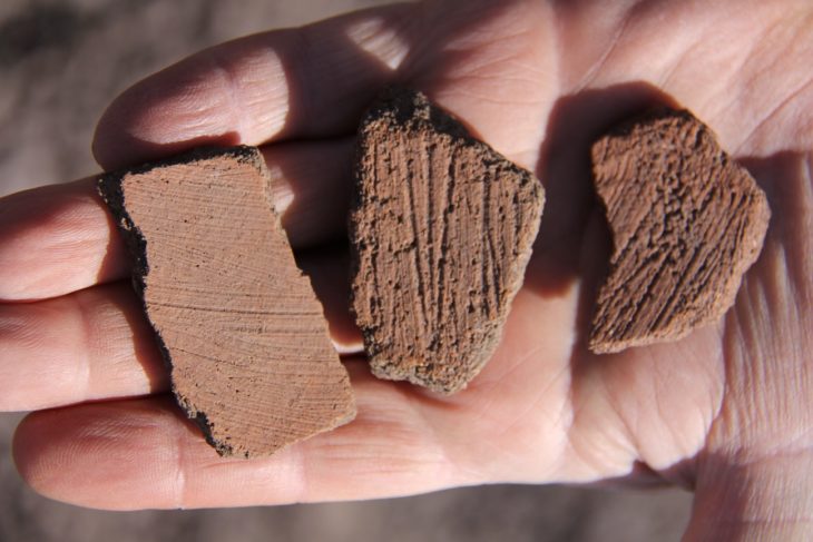 Una muestra de los restos cerámicos encontrados en el sitio.