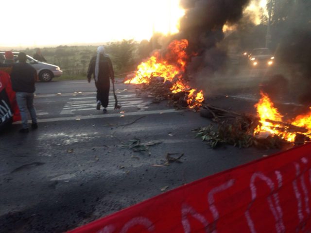 Jazmin Manosalva (RBB)