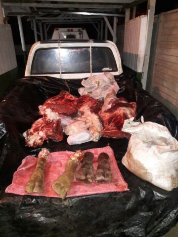 270 kilos de carne decomisada y 7 sumarios sanitarios tras fiscalización en La Araucanía