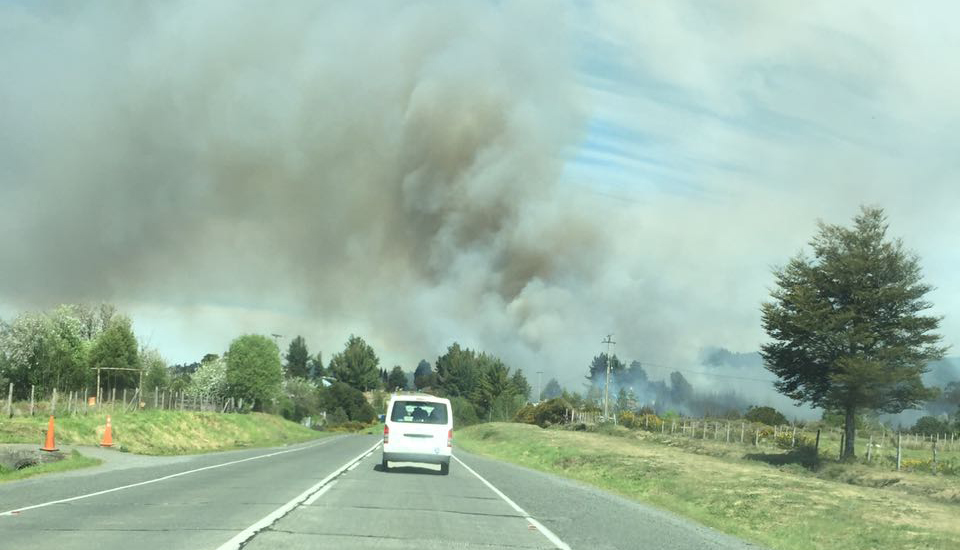 Alerta Roja en Ancud por incendio forestal